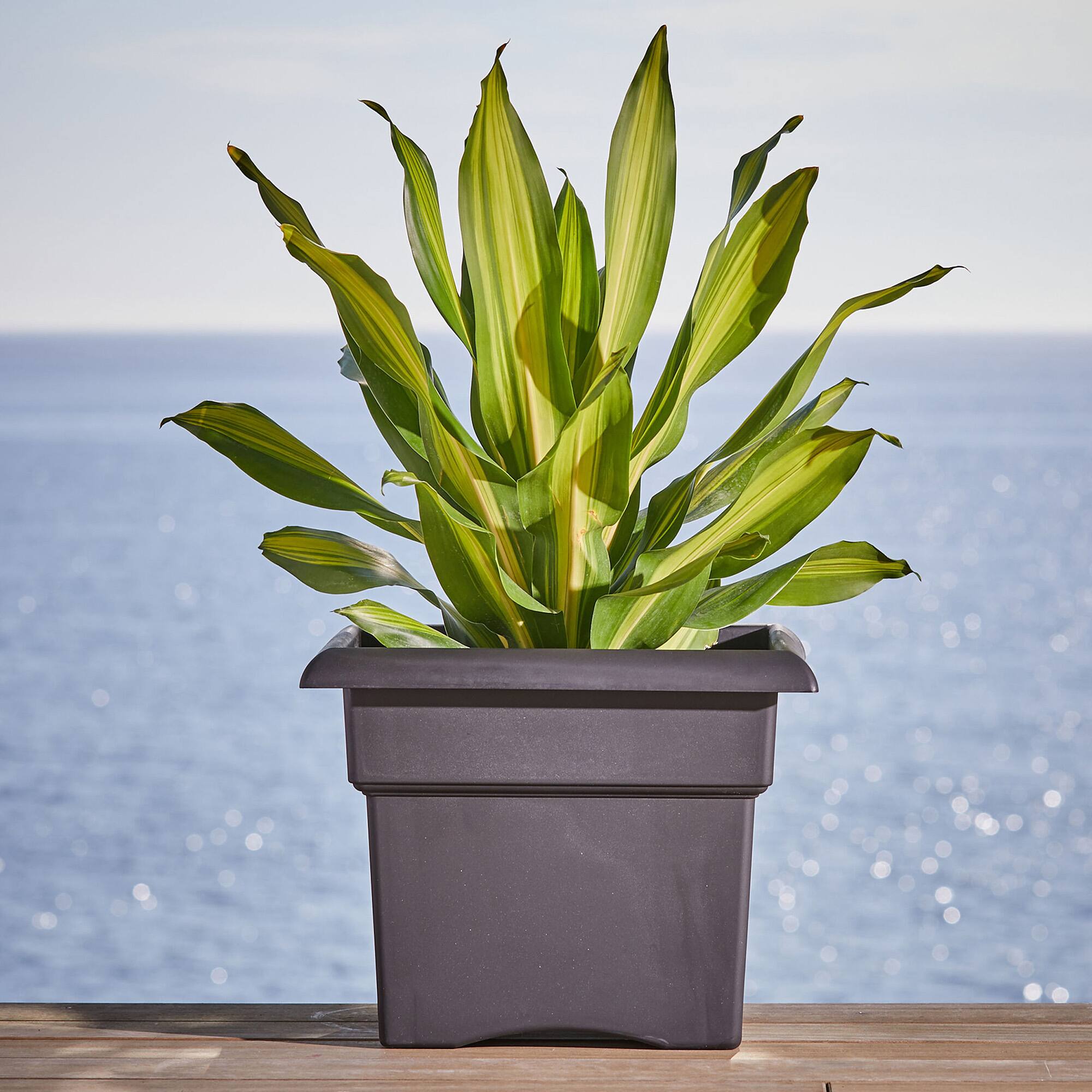 Alt View 4. Bloem - Black 18" - Veranda Deck Box Sq Planter.