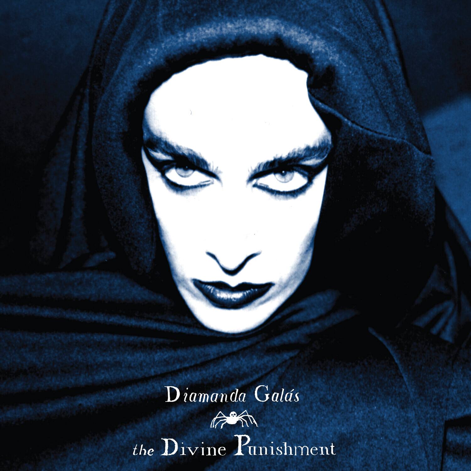 Diamanda Galas - The Divine Punishment   - COMPACT DISCS [CD] price history on PriceWatchPro