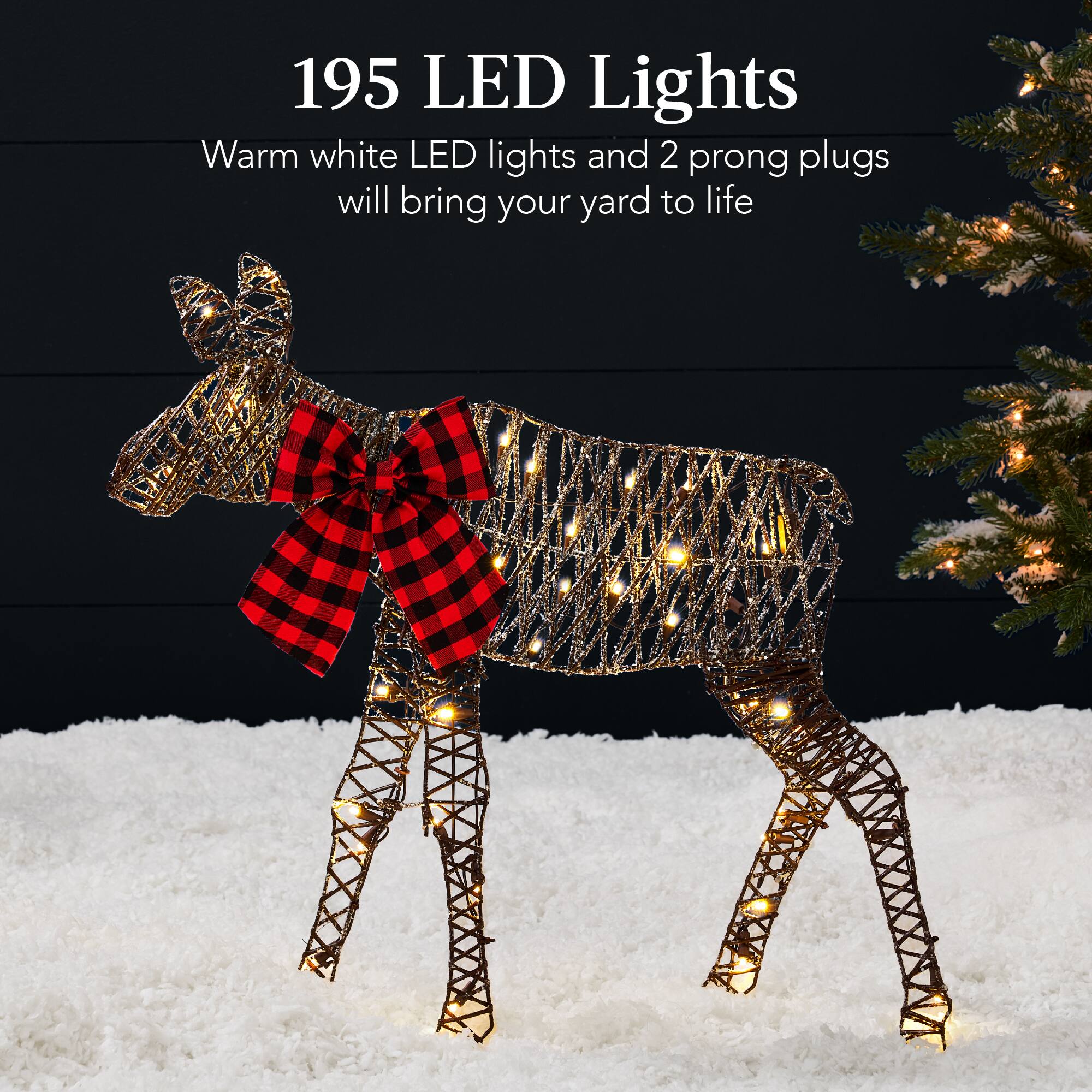 195 LED Lights

Warm white LED lights and 2 prong plugs will bring your yard to life