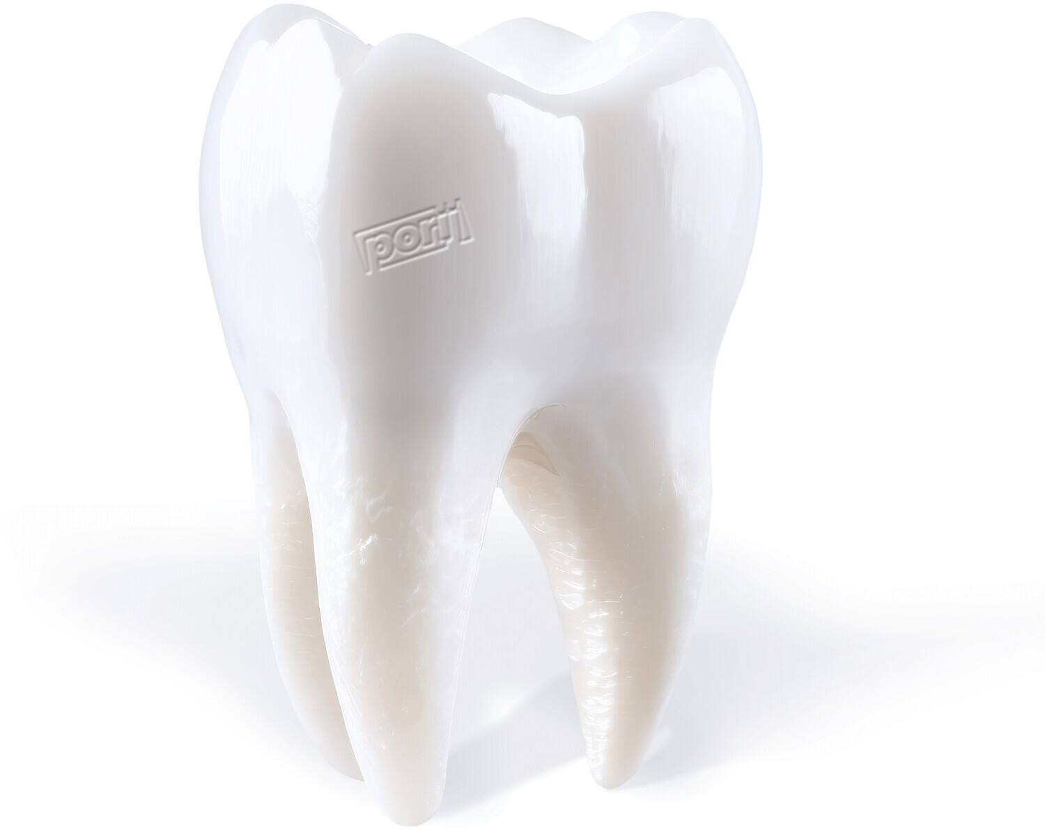 Porij - Teething - VINYL LP