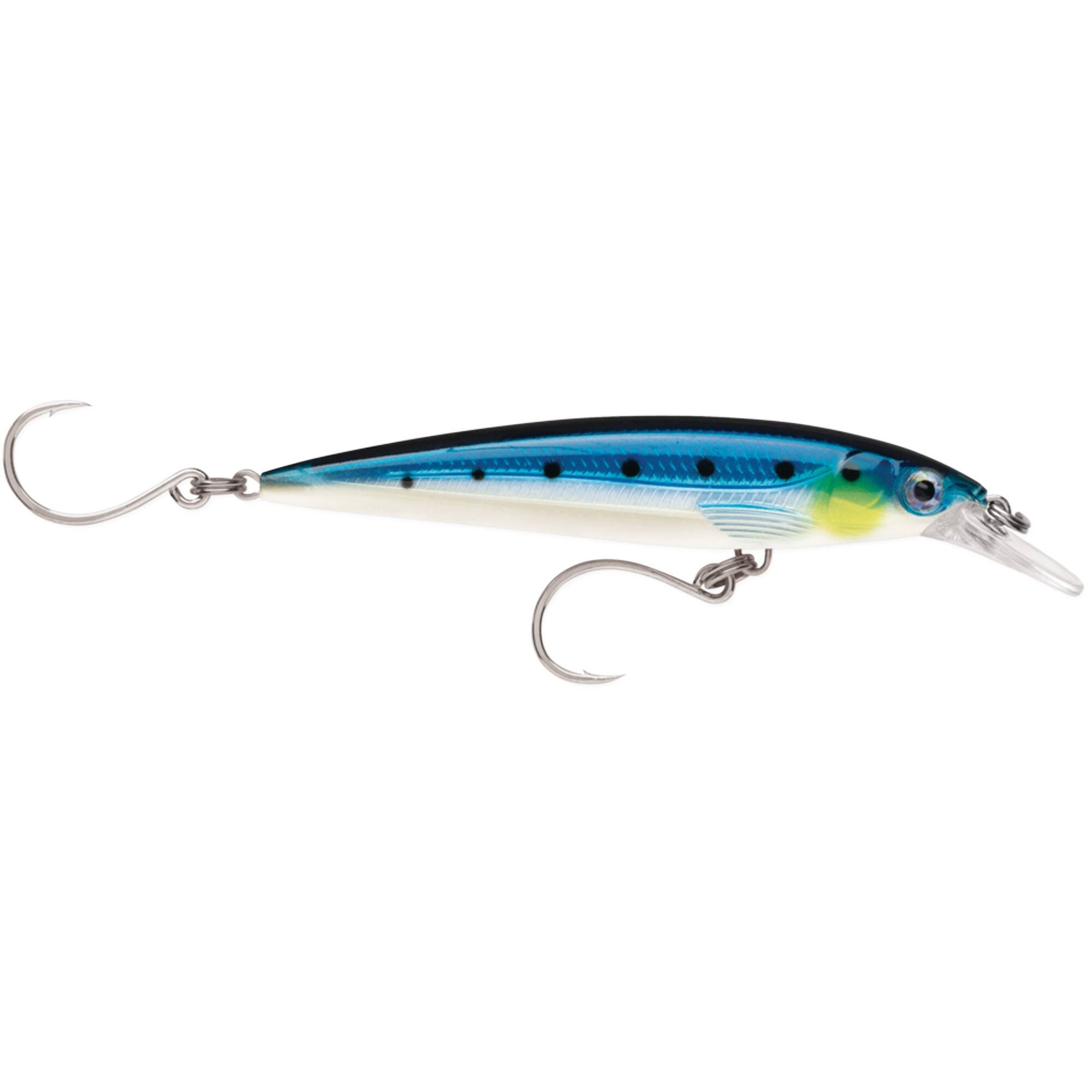 Blue Sardine