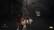 The Blood of Dawnwalker Rebel Wives