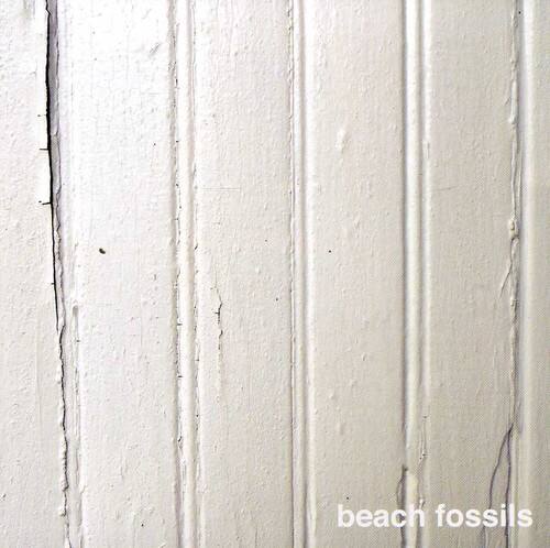 beach fossils