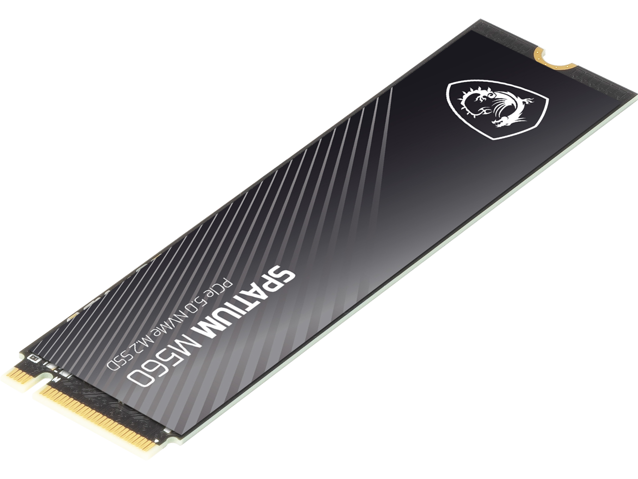 SPATIUM M.2 NVMe 5.0  
512GB