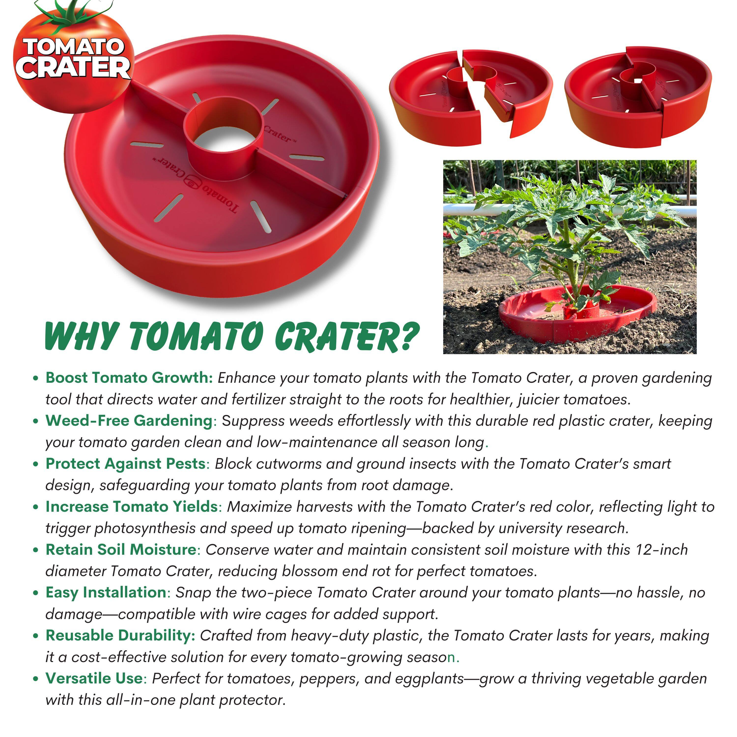 **TOMATO CRATER**

**WHY TOMATO CRATER?**

- **Boost Tomato Growth:** Enhance your tomato plants with the Tomato Crater, a proven gardening tool that directs water and fertilizer straight to the roots for healthier, juicier tomatoes.
- **Weed-Free Gardening:** Suppress weeds effortlessly with this durable red plastic crater, keeping your tomato garden clean and low-maintenance all season long.
- **Protect Against Pests:** Block cutworms and ground insects with the Tomato Crater's smart design, safeguarding your tomato plants from root damage.
- **Increase Tomato Yields:** Maximize harvests with the Tomato Crater's red color, reflecting light to trigger photosynthesis and speed up tomato ripening—backed by university research.
- **Retain Soil Moisture:** Conserve water and maintain consistent soil moisture with this 12-inch diameter Tomato Crater, reducing blossom end rot for perfect tomatoes.
- **Easy Installation:** Snap the two-piece Tomato Crater around your tomato plants—no hassle, no damage—compatible with wire cages for added support.
- **Reusable Durability:** Crafted from heavy-duty plastic, the Tomato Crater lasts for years, making it a cost-effective solution for every tomato-growing season.
-