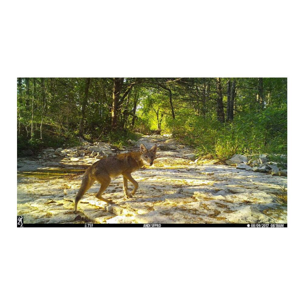 X 871F ANDI SEPRO 08/09/2017 OF E18AM

ANDI SEPRO

08/09/2017 08:18AM