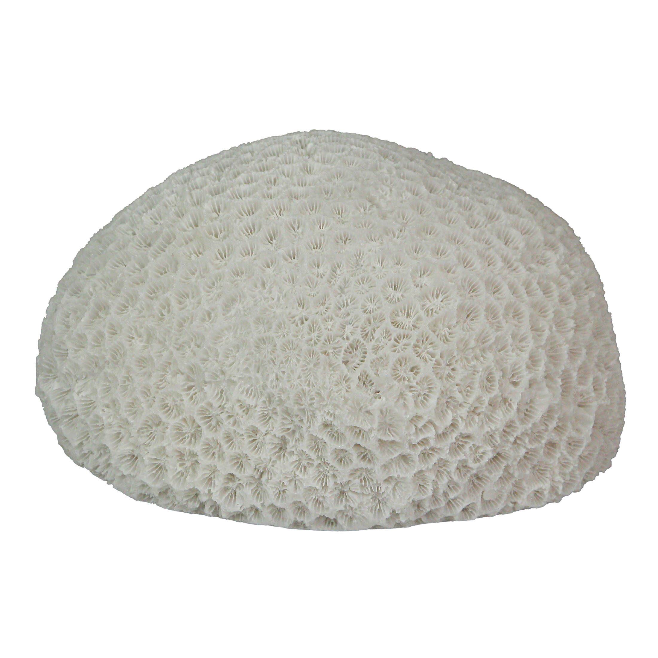 Front. Contrast Inc. - 6 Inch Resin LED Brain Coral Accent Lamp Decorative Sea Table Light Nautical Home Decor - White.