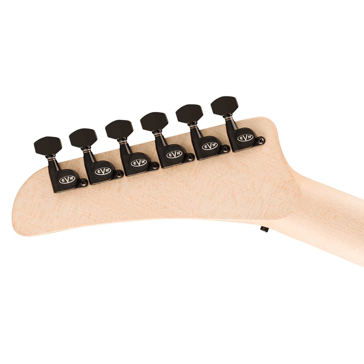 EVH EVH EVH EVH EVH EVH