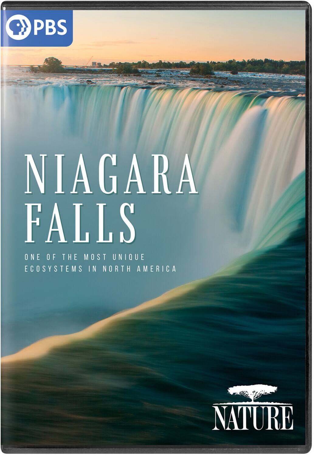 NATURE: Niagara Falls  - DVD