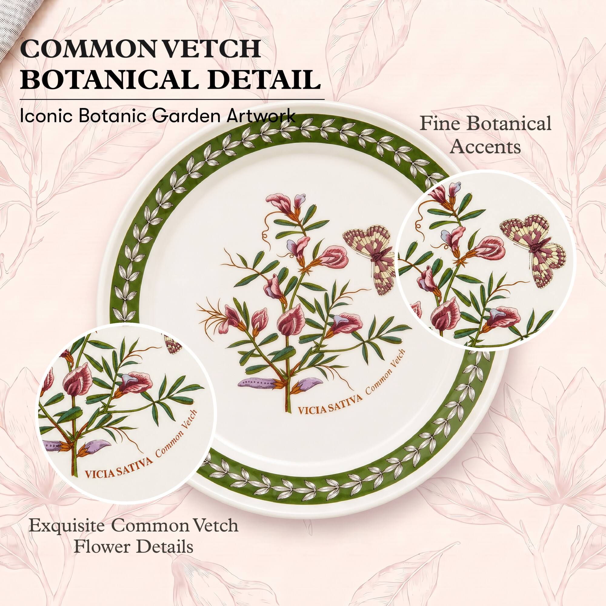COMMON VETCH BOTANICAL DETAIL  
Iconic Botanic Garden Artwork  
Fine Botanical Accents  
Vetch SATIVA Common VICIA  
Exquisite Common Vetch Flower Details