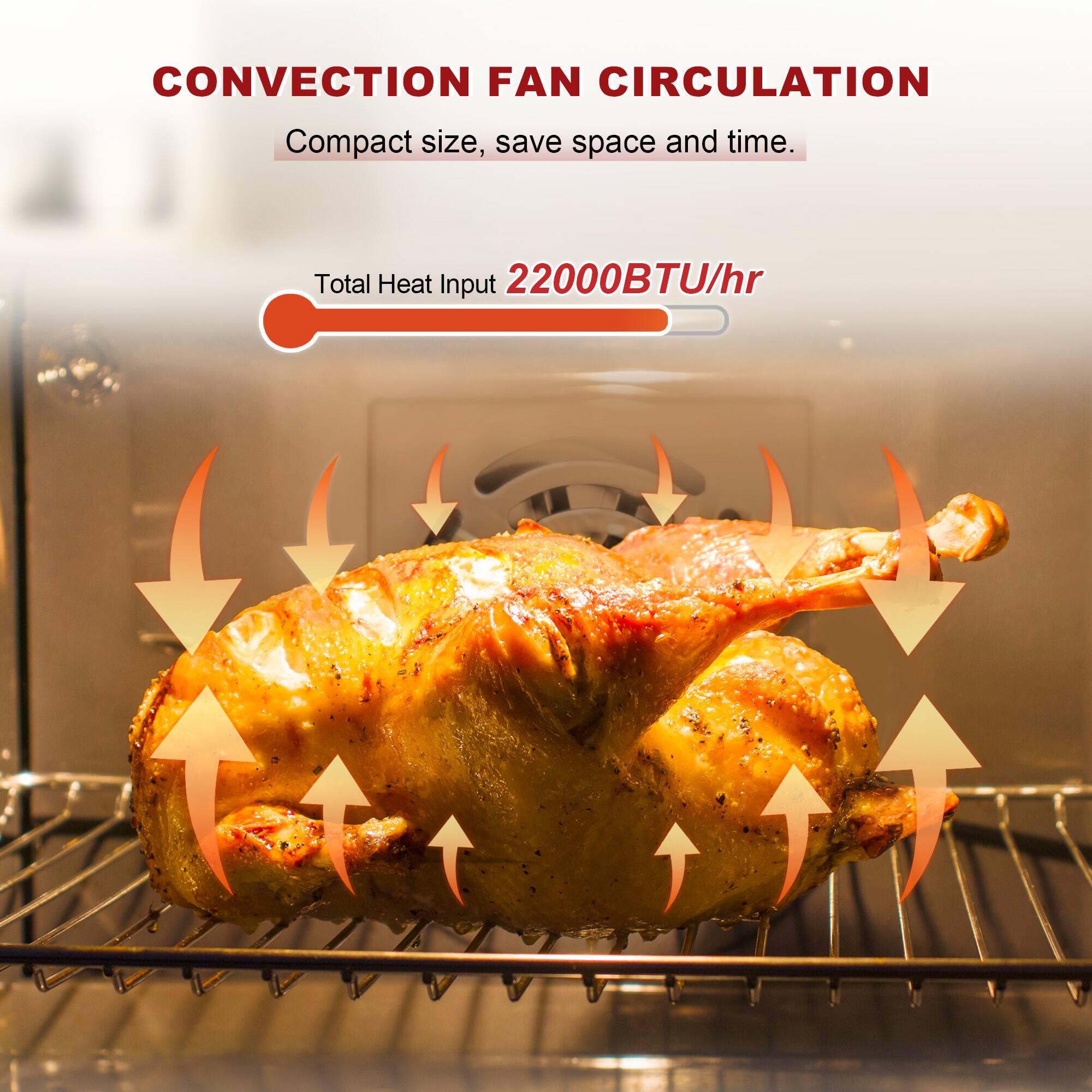 CONVECTION FAN CIRCULATION  
Compact size, save space and time.  
Total Heat Input 22000BTU/hr