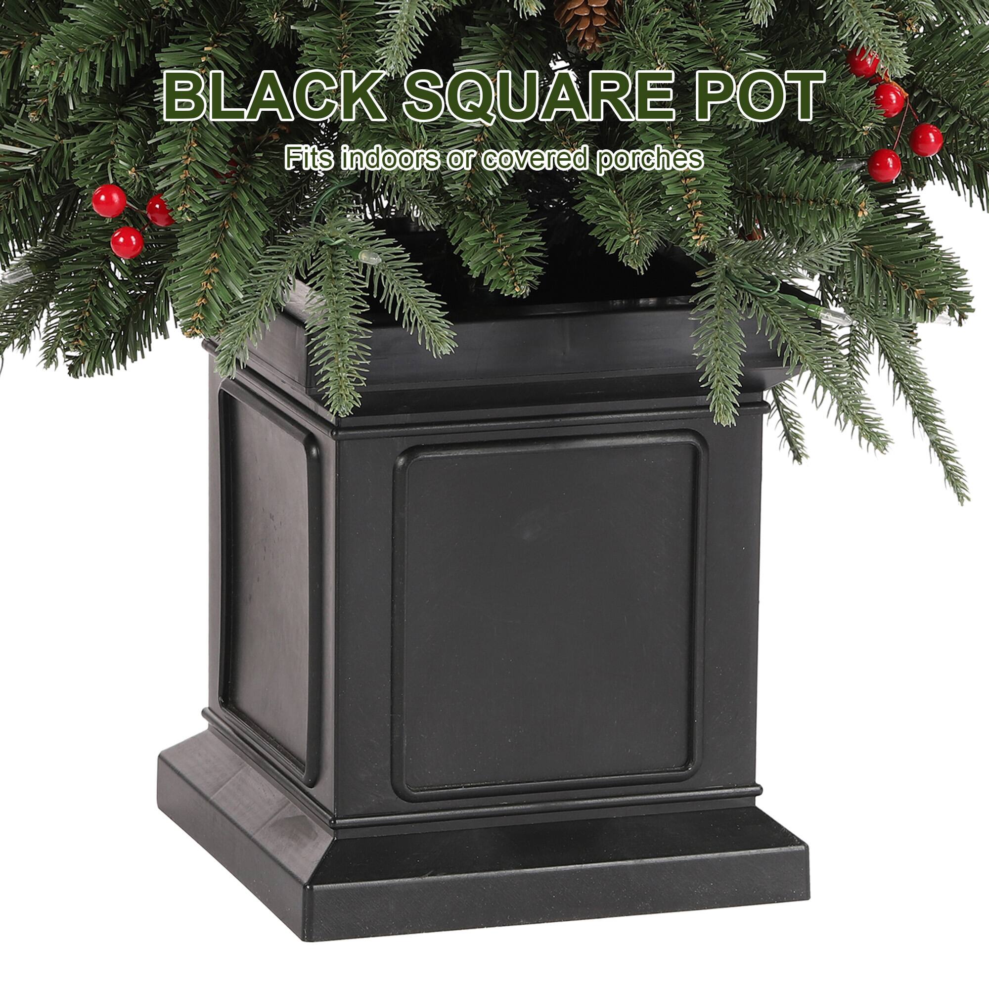 BLACK SQUARE POT  
Fits indoors or covered porches