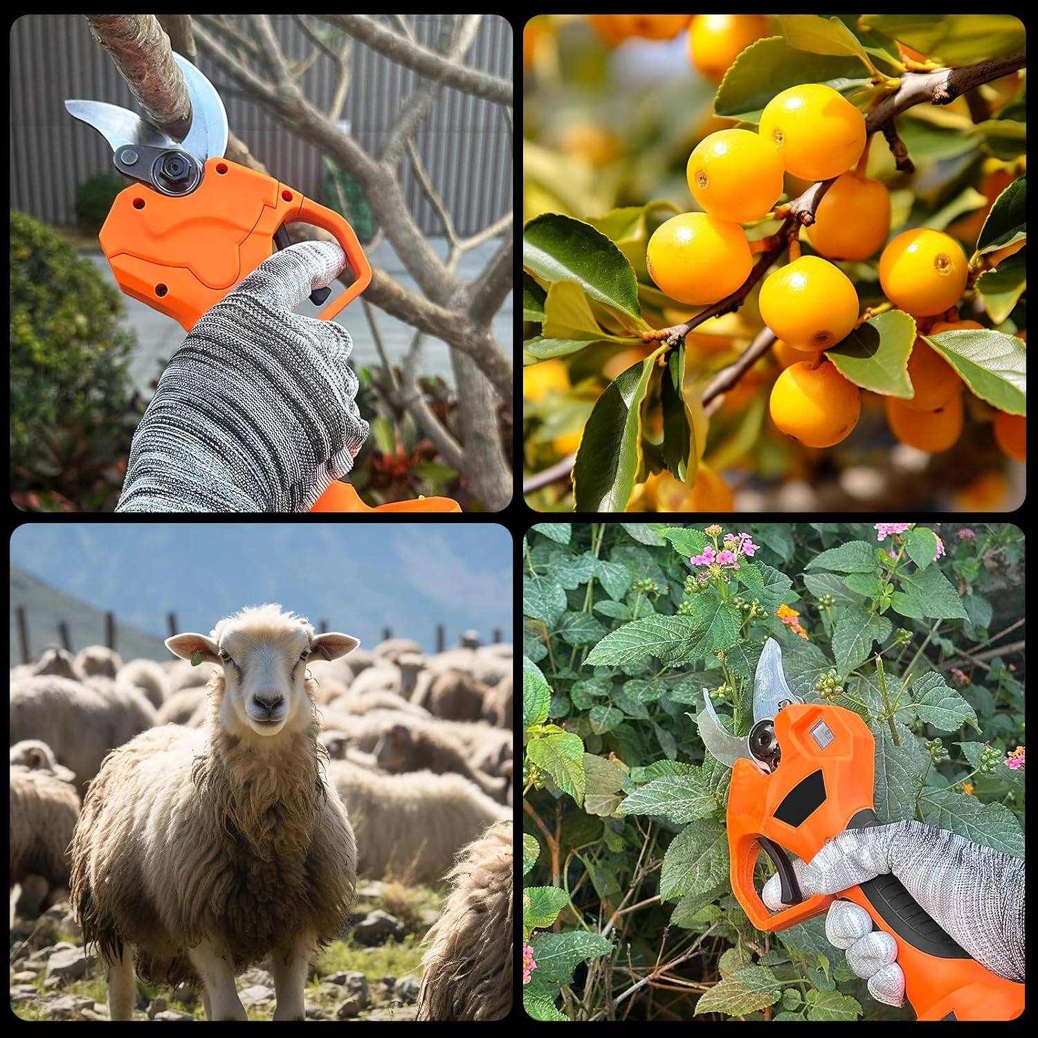 media item thumbnail