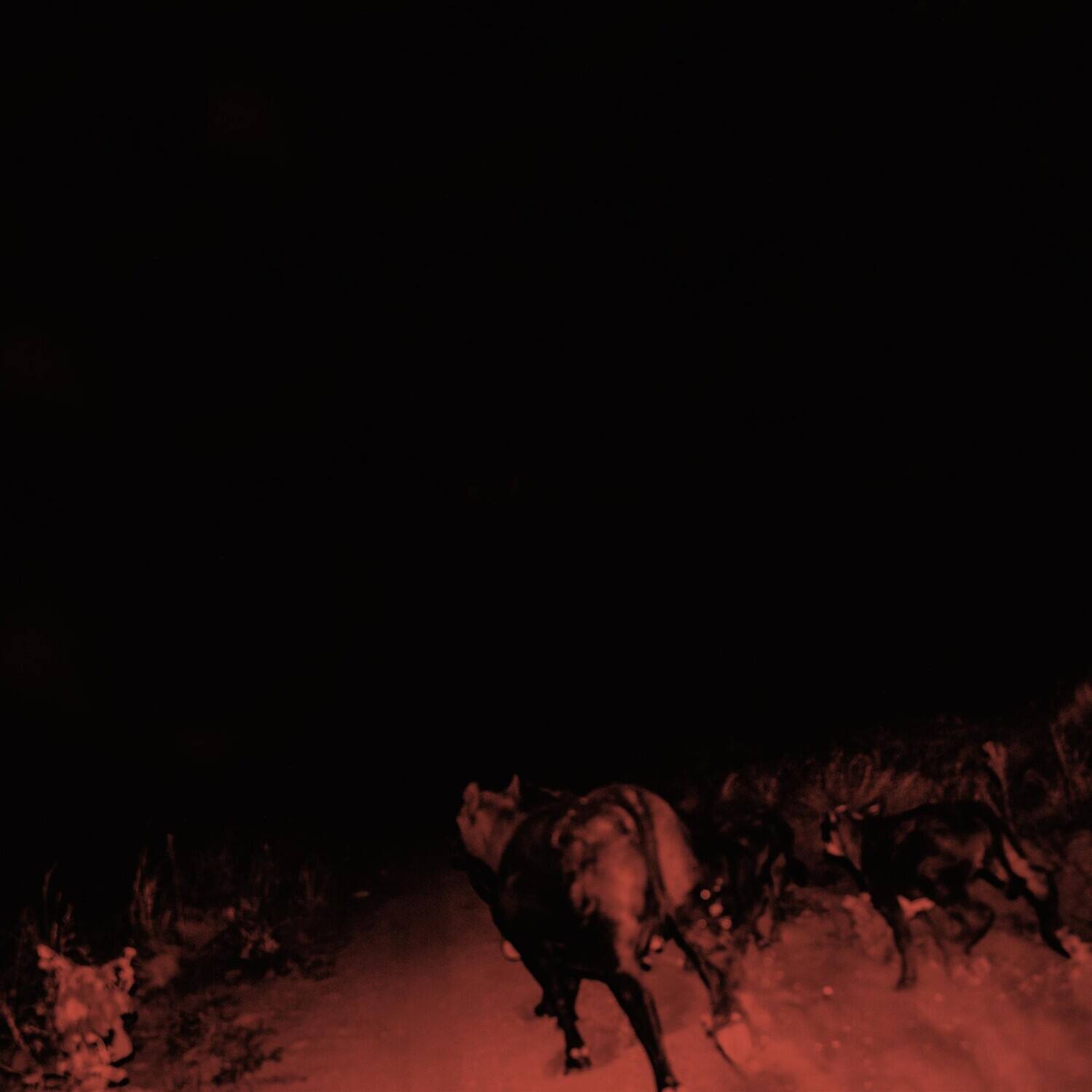 Front. Bambara - Shadow On Everything   - VINYL LP .