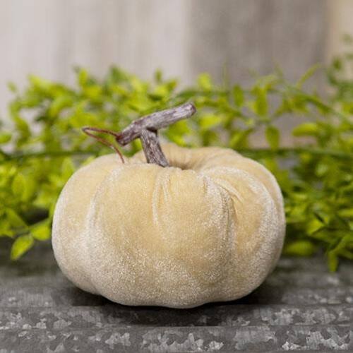 Angle. BreeBe - *Velvet Ivory Pumpkin - 4" - Ivory.