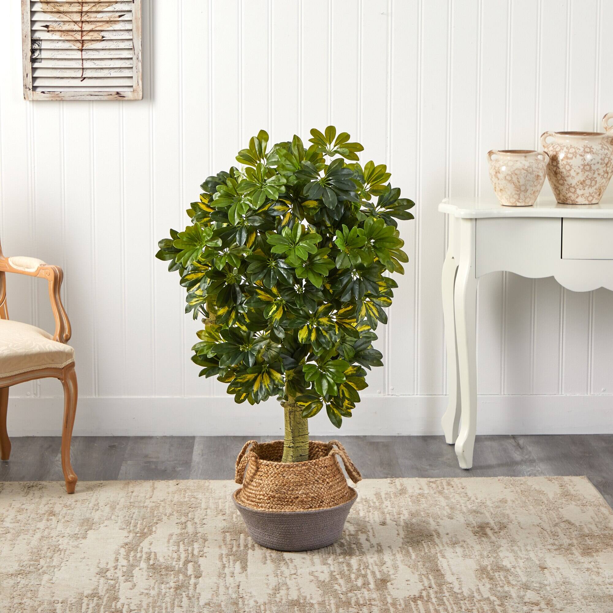 Left. BreeBe - 4' Schefflera Tree in Jute Gray Planter (Real Touch) - Green.