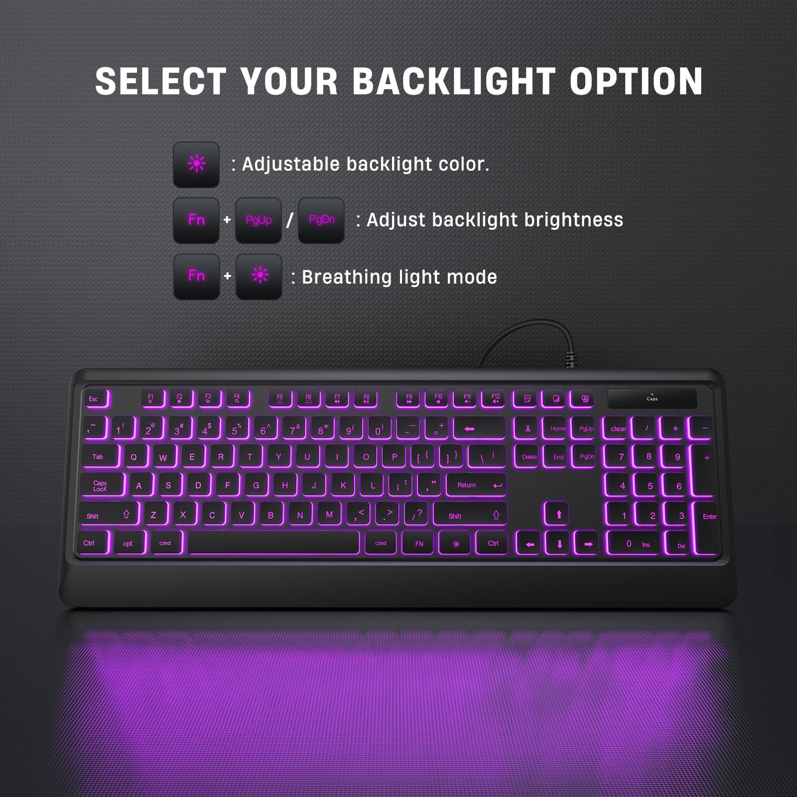 SELECT YOUR BACKLIGHT OPTION

- Adjustable backlight color.
- Fn + PgUp / PgDn : Adjust backlight brightness
- Fn + : Breathing light mode