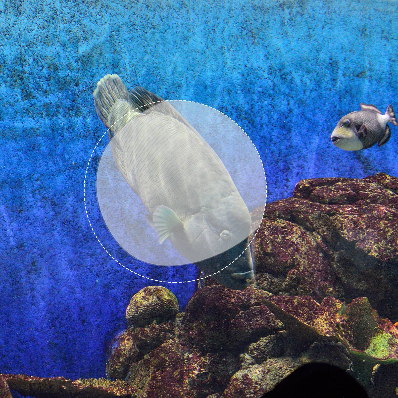 Alt View 4. Unique Bargains - 2pcs Polarized Clip-on 3D Glasses, Passive Circular 3D Viewing Frames for IMAX Movies Theater Games TV (Metal Clip) - Black.