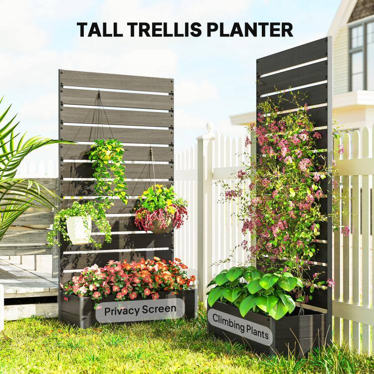TALL TRELLIS PLANTER

Privacy Screen

Climbing Plants