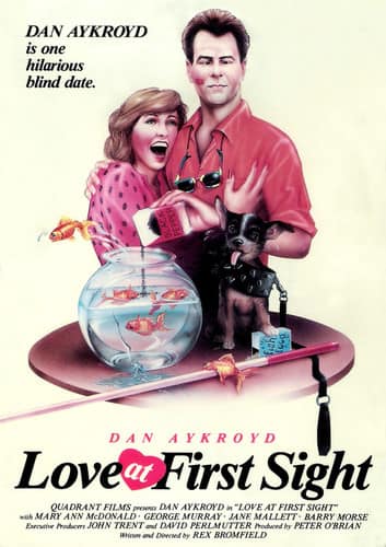 Love at First Sight  - DVD