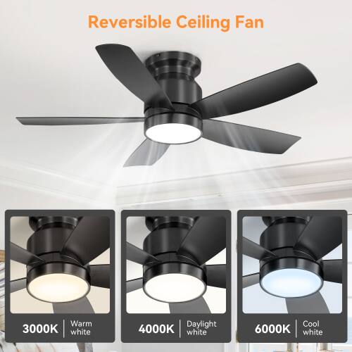Reversible Ceiling Fan

- 3000K Warm white
- 4000K Daylight white
- 6000K Cool white