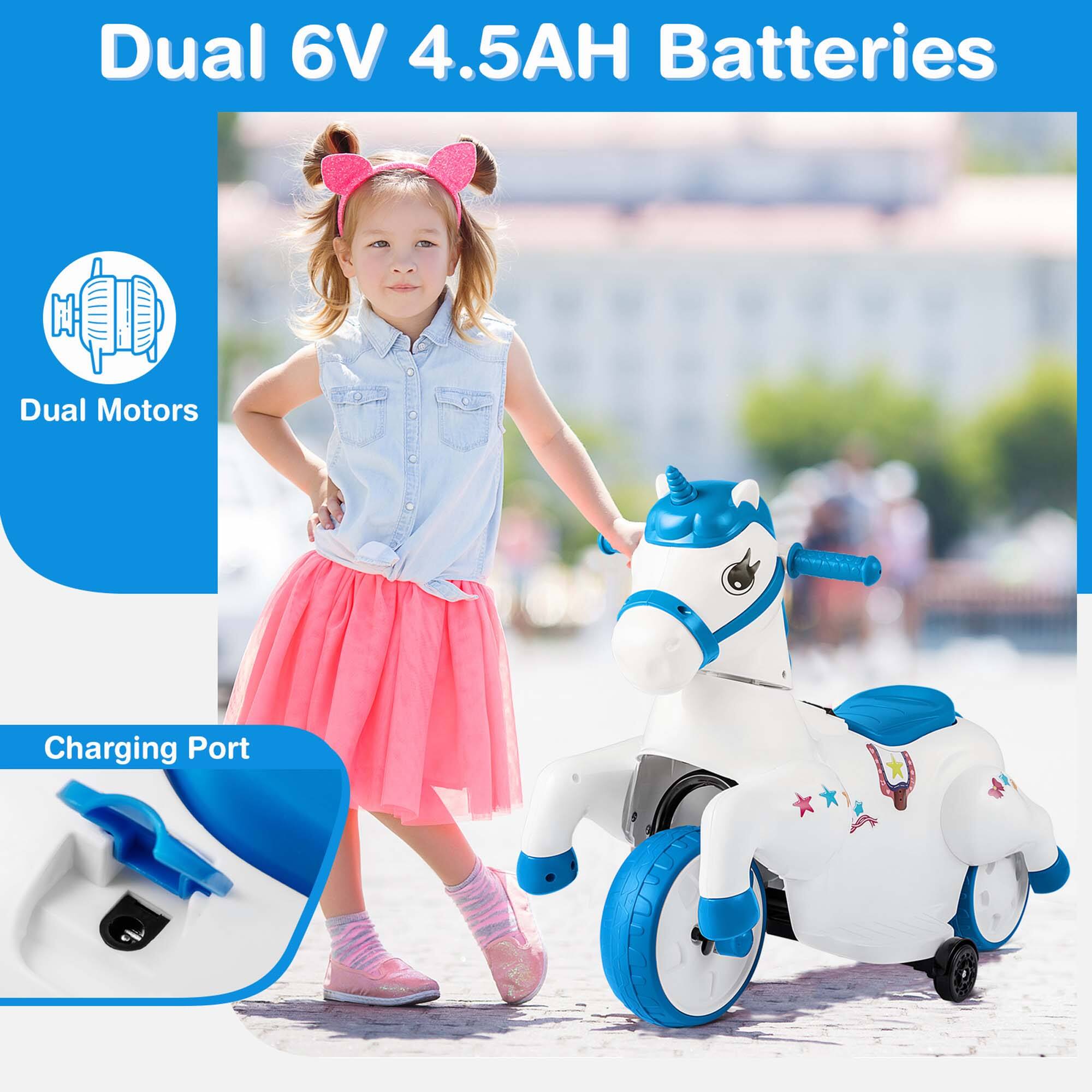 Dual 6V 4.5AH Batteries

Dual Motors

Charging Port