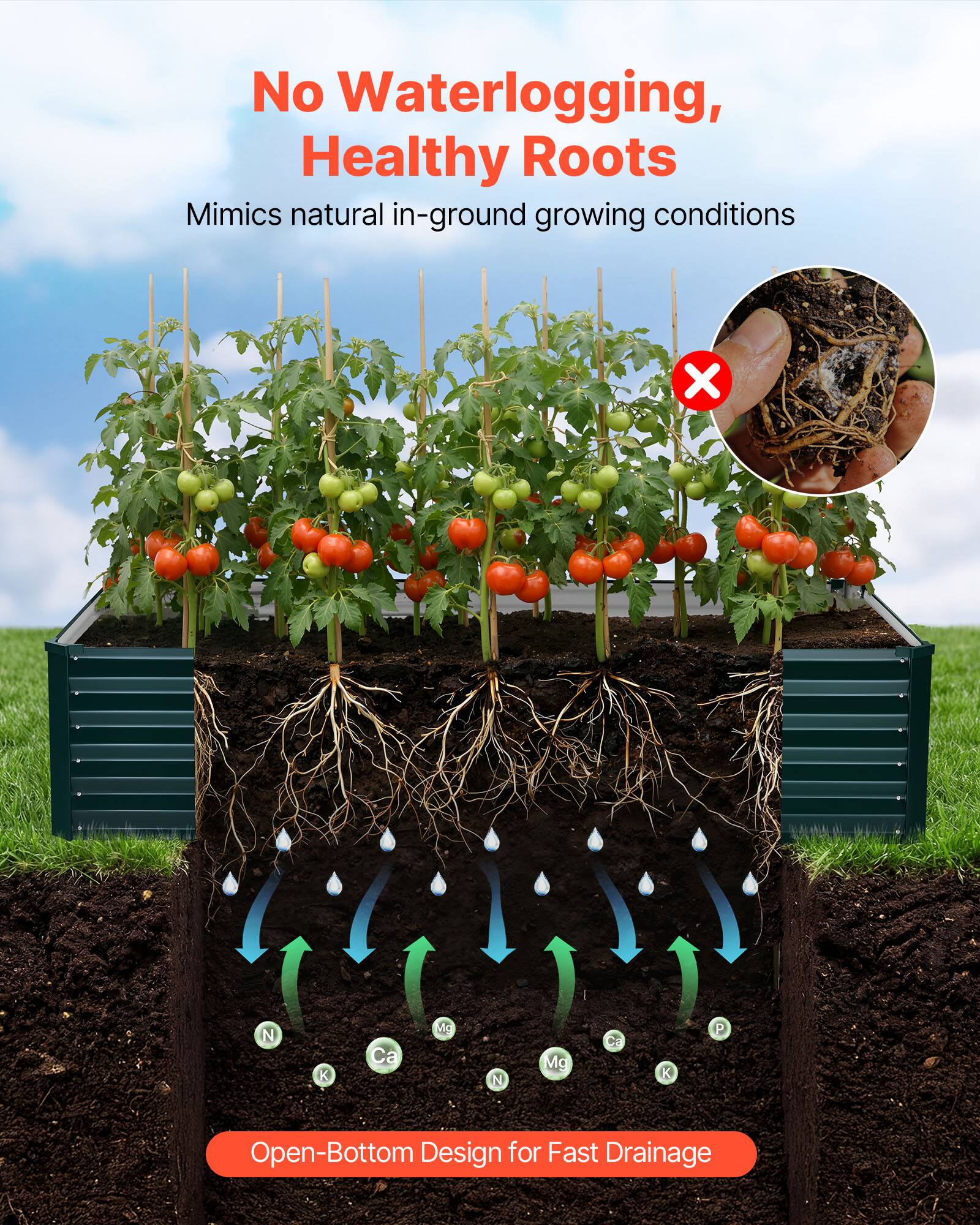 No Waterlogging, Healthy Roots  
Mimics natural in-ground growing conditions  

Open-Bottom Design for Fast Drainage