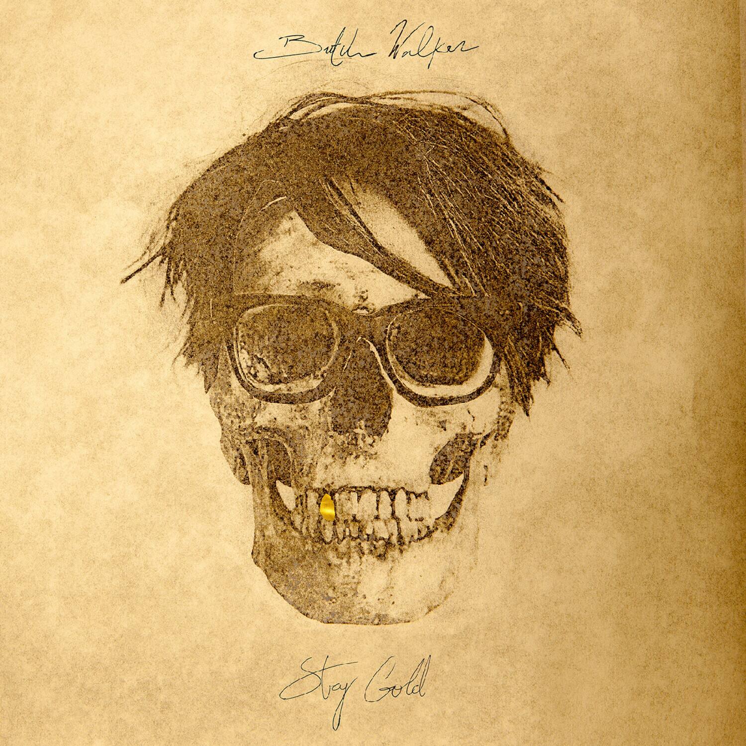 Butch Walker - Stay Gold   - VINYL LP price history on PriceWatchPro