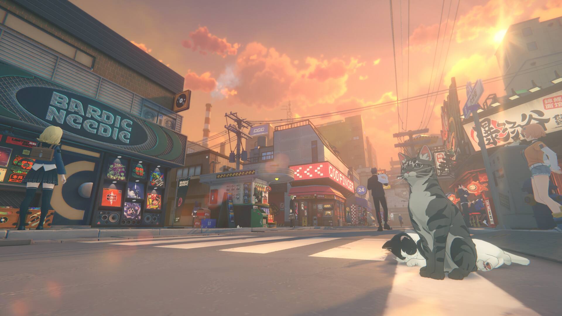 BARDIC NCCDIC  
COOFINGER