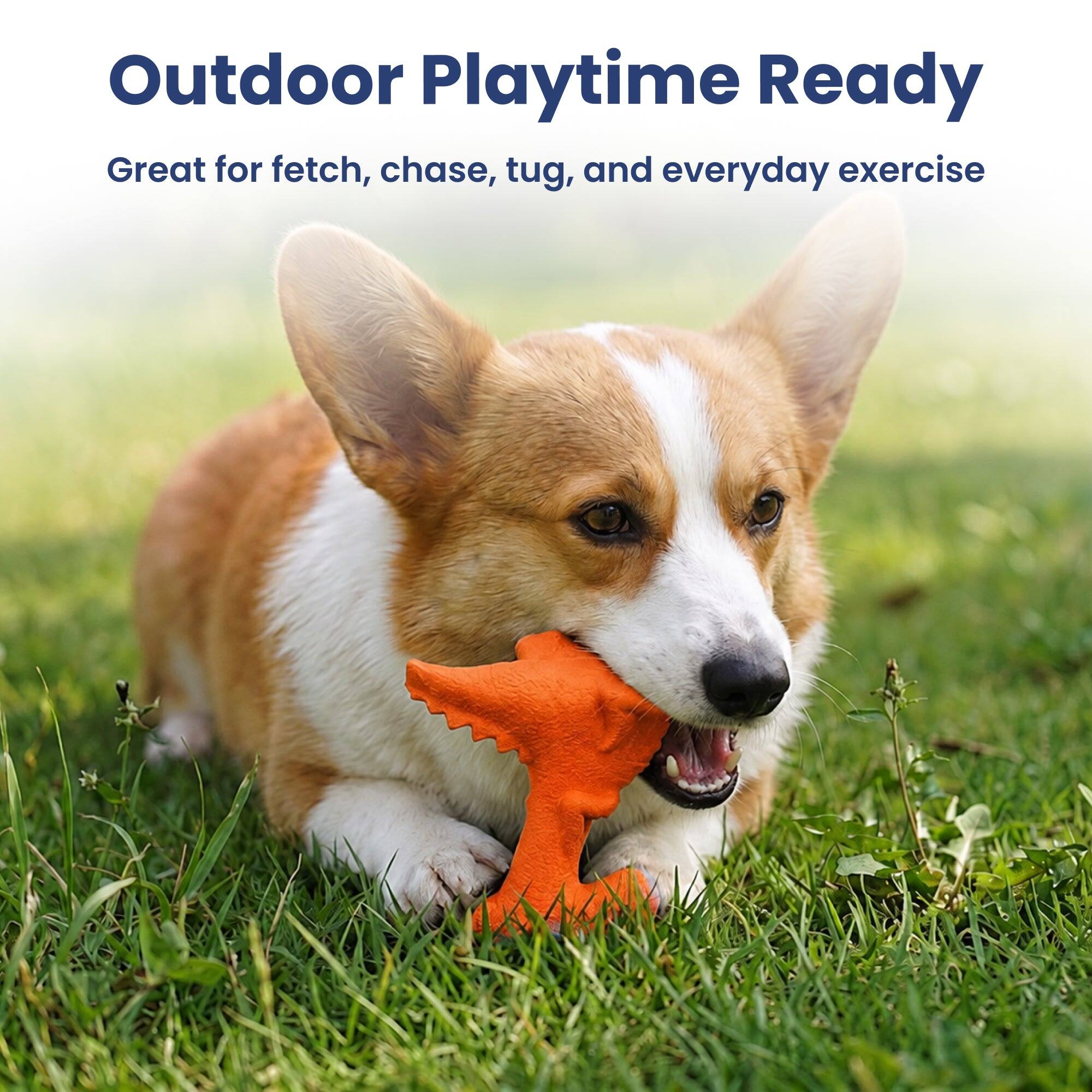 Outdoor Playtime Ready  
Great for fetch, chase, tug, and everyday exercise