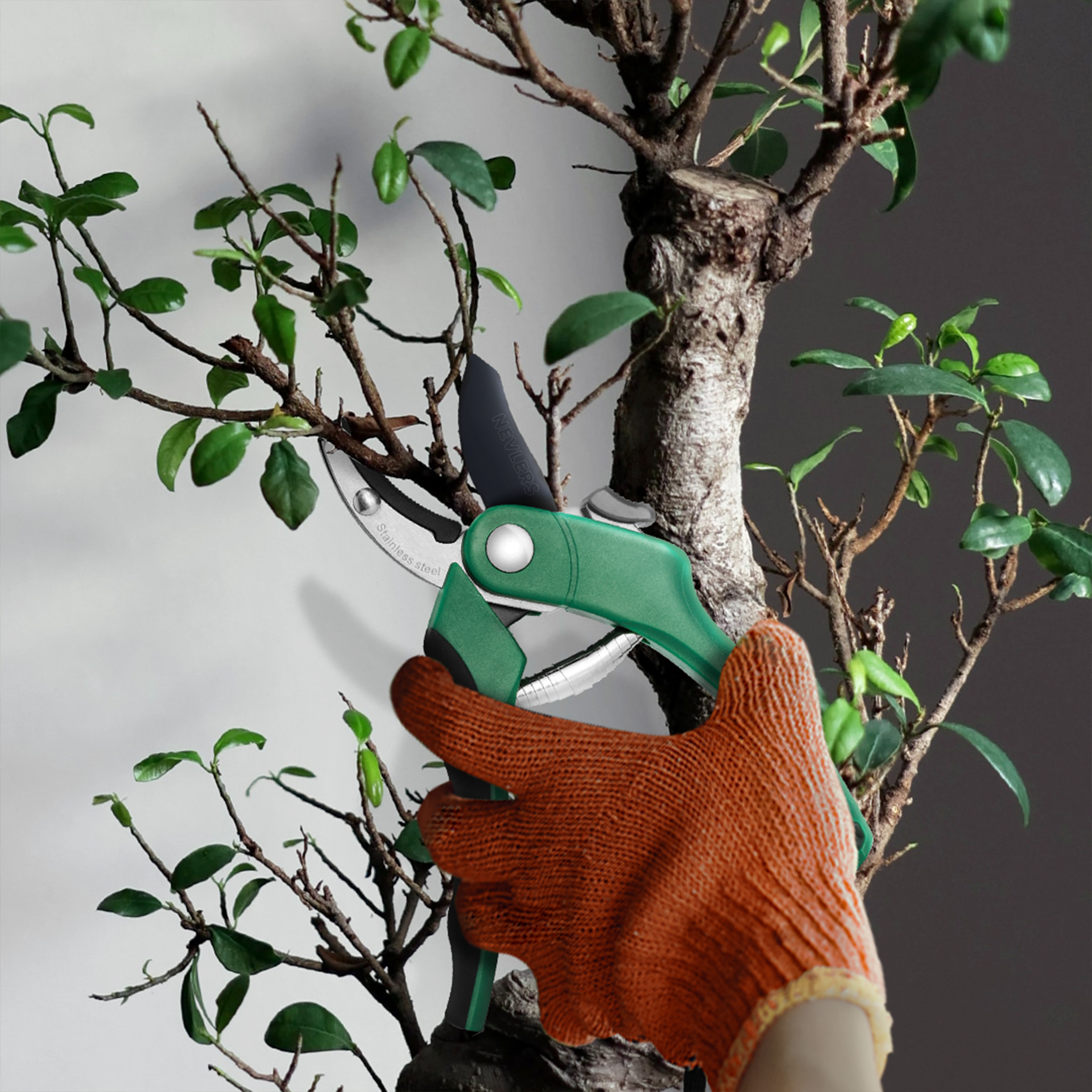 Stainless Steel NEVLERS