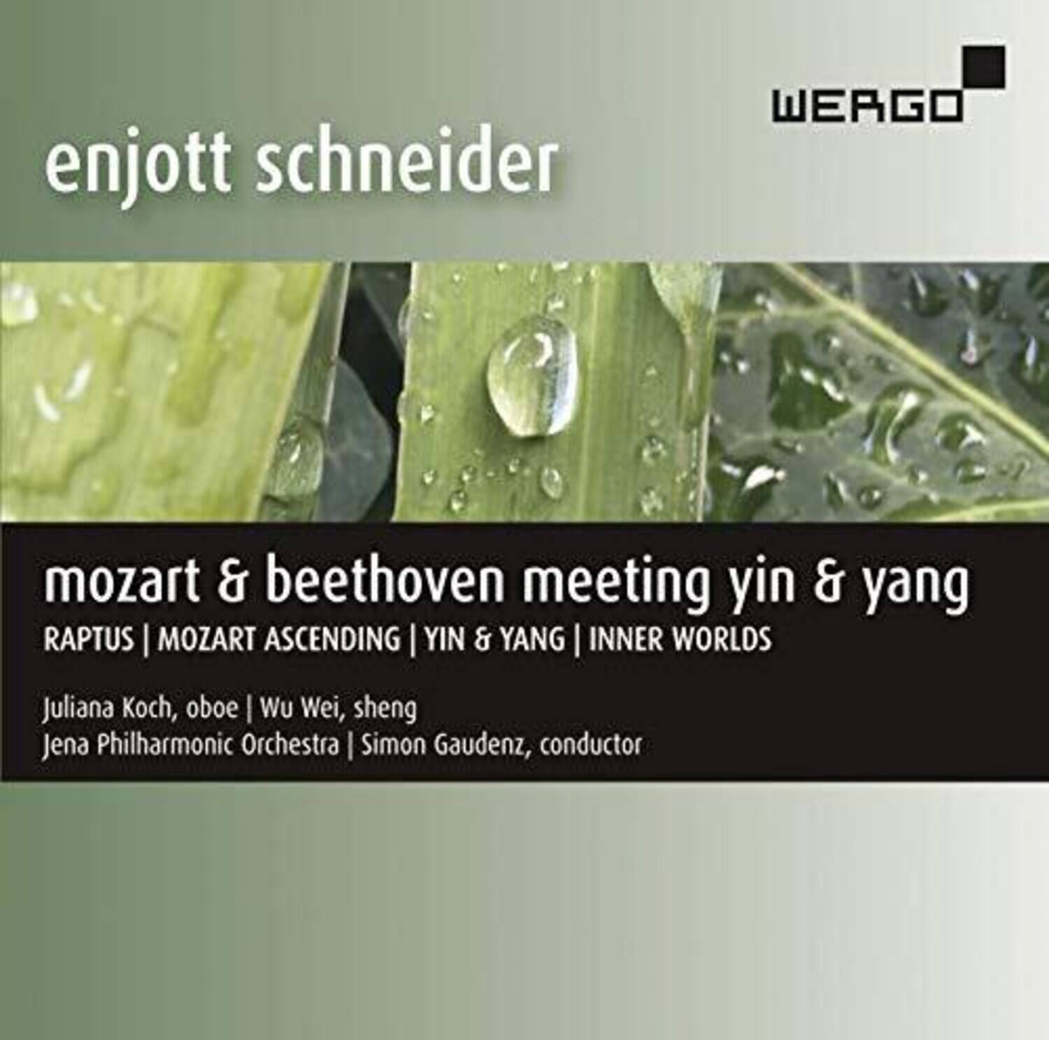 Schneider / Koch / Gaudenz - Meeting Yin & Yang  - COMPACT DISCS