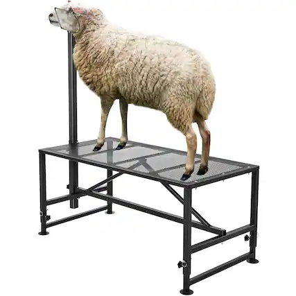 Front. VEVOR - Goat & Sheep Stand, 51x23 inch Livestock Stand, Metal Livestock Milking and Shearing Stand 21" to 33" Adjustable Height - Black.