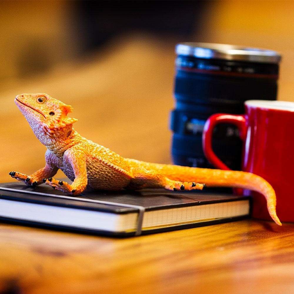 Angle. Safari Ltd. - Bearded Dragon Toy Figurine.