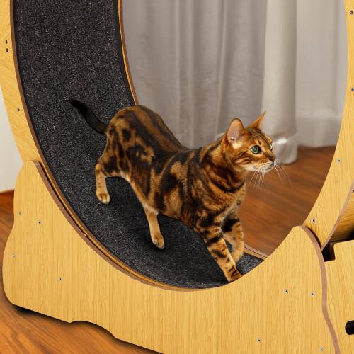 Alt View 10. Winado - Large Cat Exercise Wheel, 40in Cat Treadmill with Detachable Carpet, Safety Lock Running Silent for Indoor Cats Playing - Natural Wood.