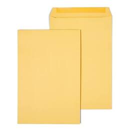Staples - Gummed Kraft Catalog Envelopes, 10"L x 15"H, 100/Box - Brown