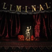 Liminal [LP] - VINYL - Front_Zoom