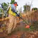 Alt View 8. SENIX - X6 60V Max* 16" Cordless String Trimmer, Brushless (3.0 Ah Battery & Charger Included) - Blue.