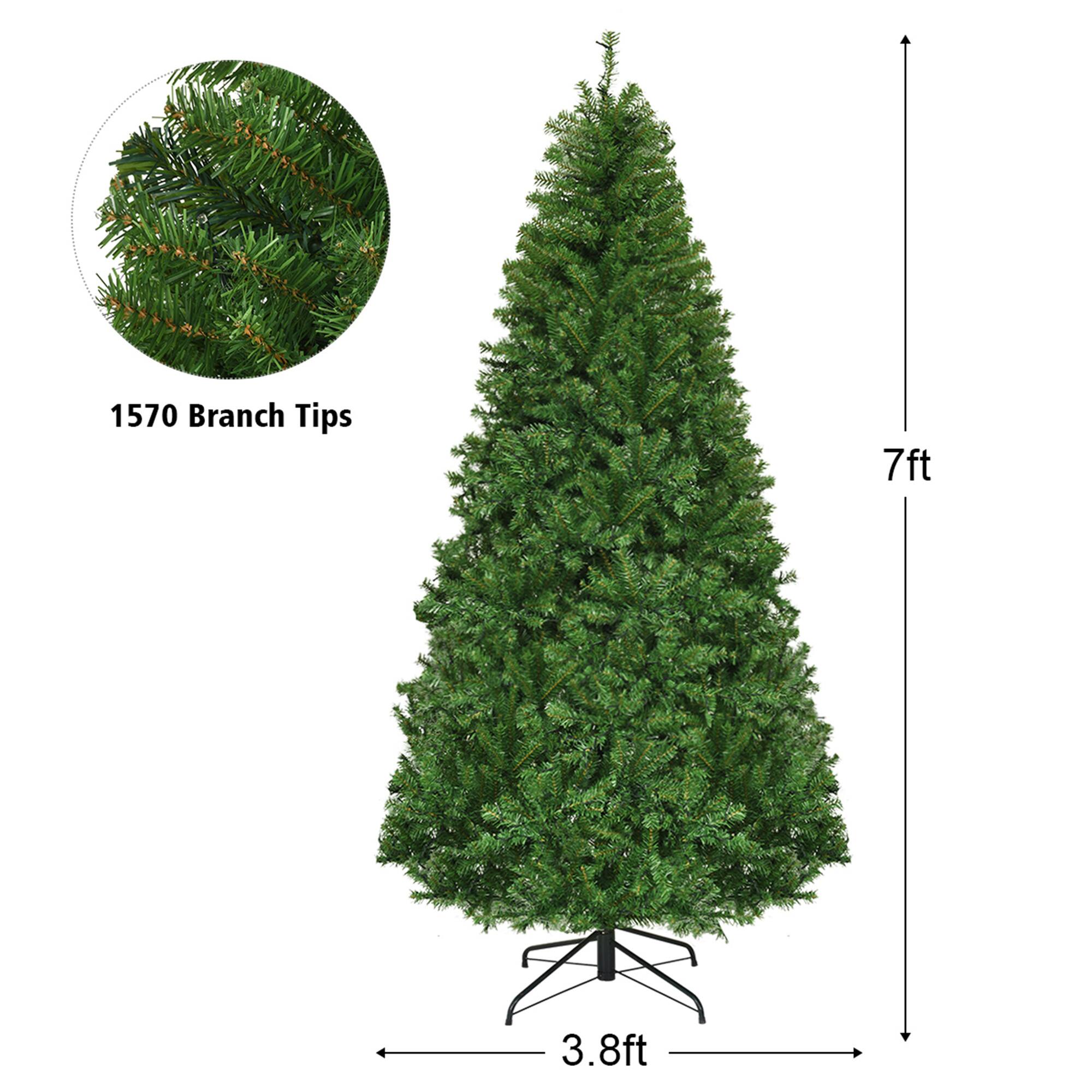 1570 Branch Tips

7ft

3.8ft