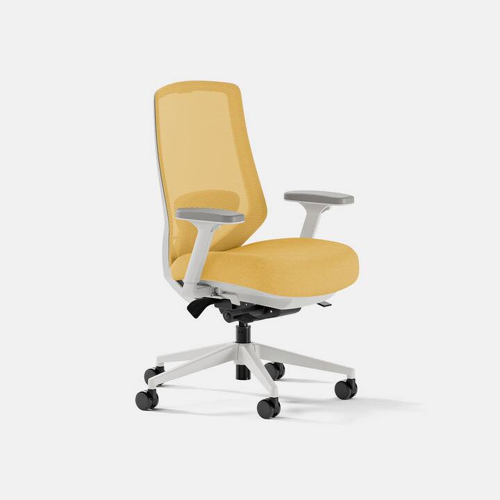 Angle. Branch Furniture - Ergonomic Chair Pro – Premium Office Seating with 14 Points of Adjustment & Dynamic Lumbar Support - Black / Black.