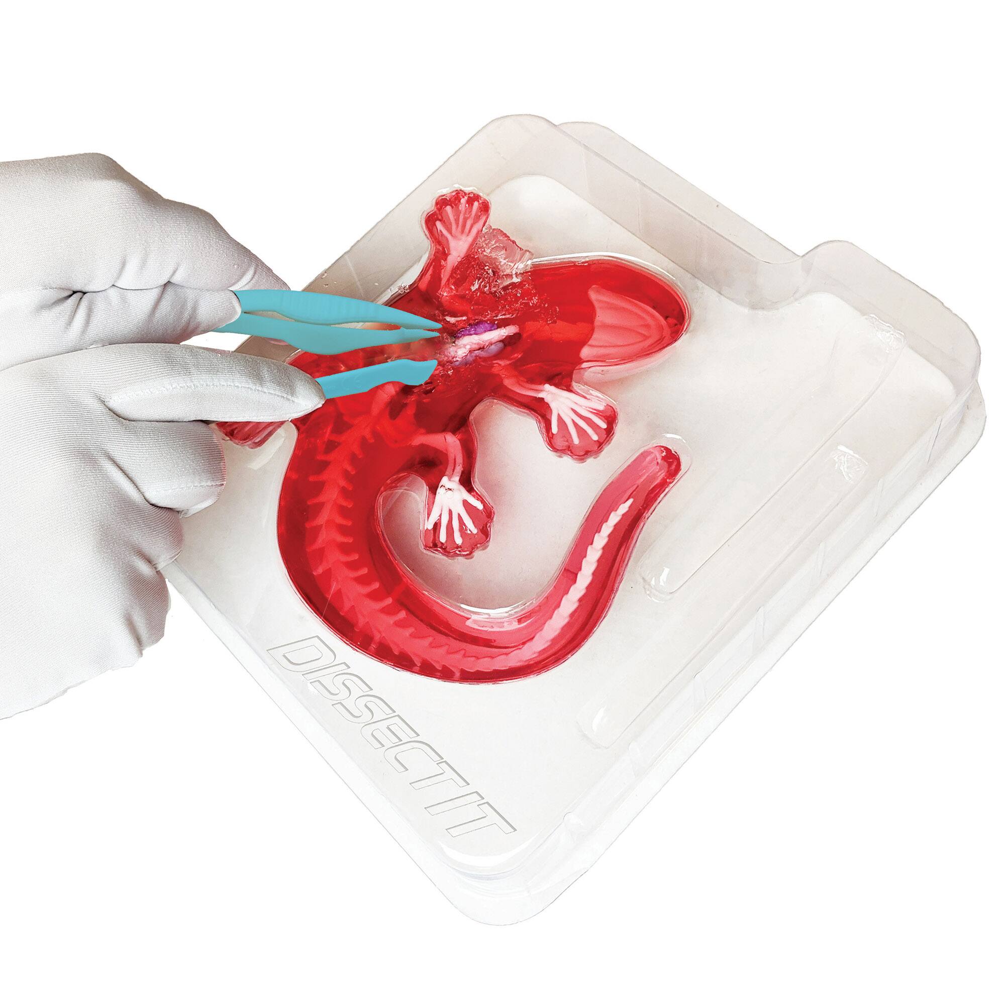 Alt View 3. Top Secret Toys - Dissect-It: Salamander Lab.
