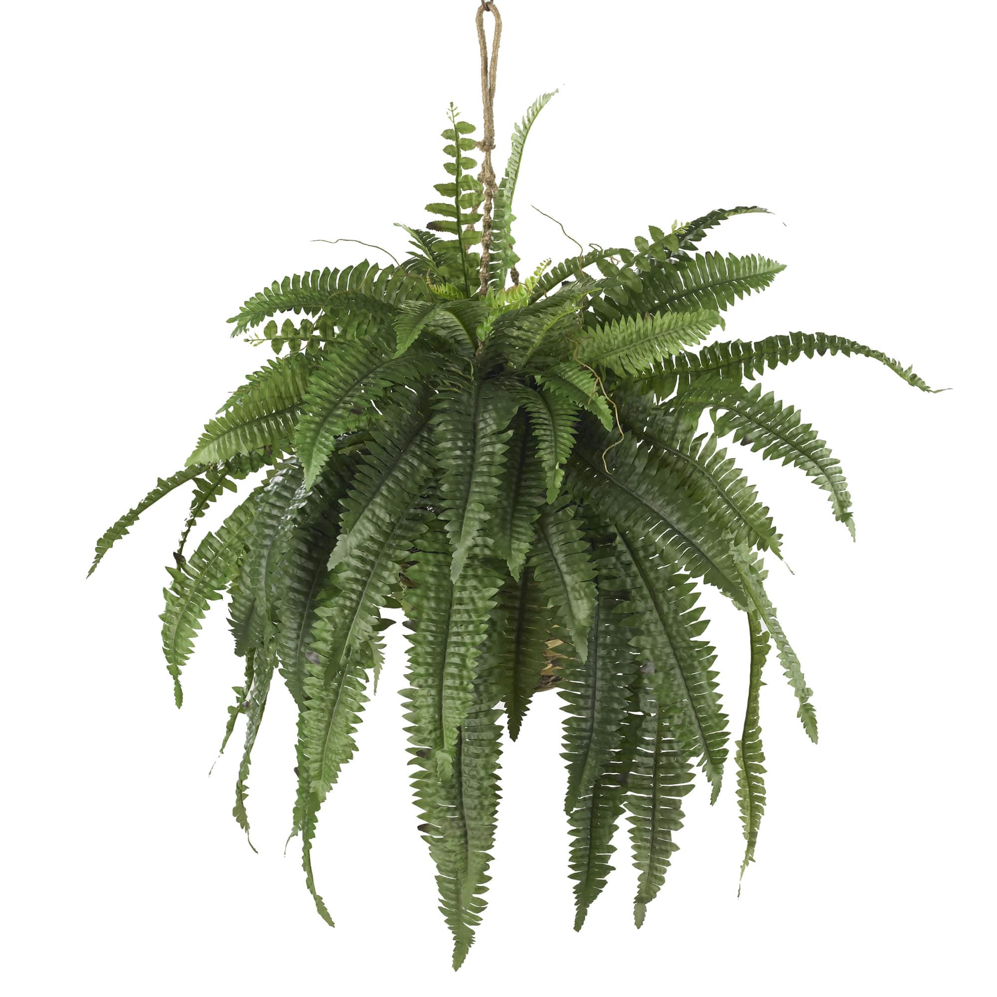 BreeBe - Large Boston Fern Hanging Basket - Green
