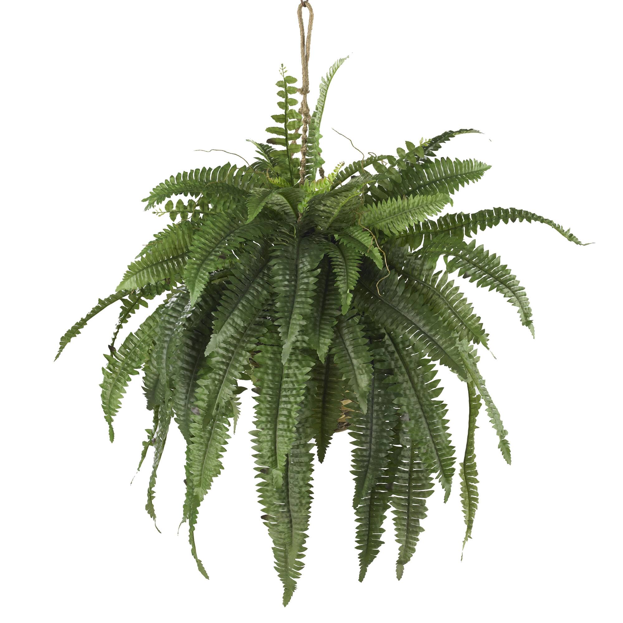 Front. BreeBe - Large Boston Fern Hanging Basket - Green.