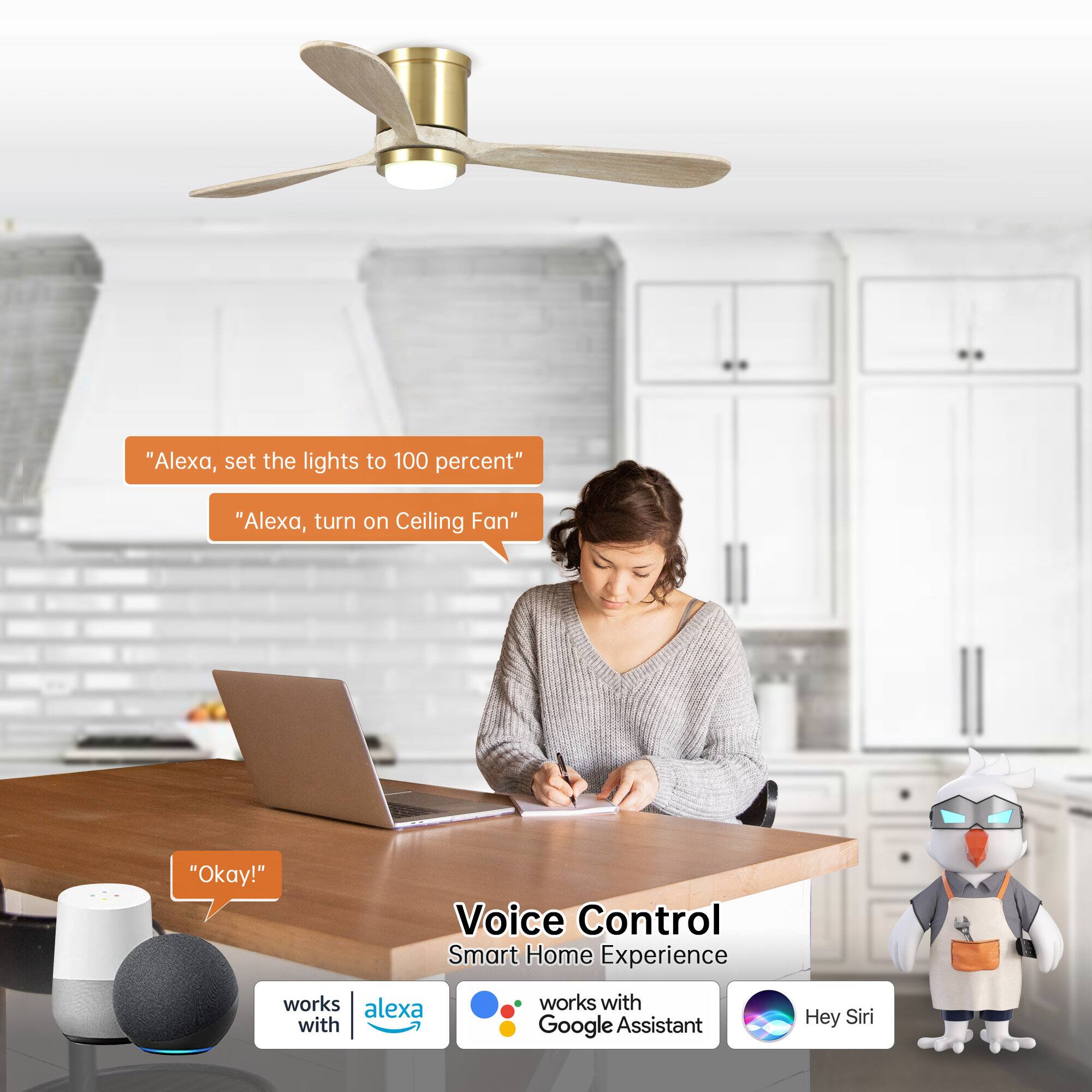 "Alexa, set the lights to 100 percent"  
"Alexa, turn on Ceiling Fan"  
"Okay!"  

Voice Control Smart Home Experience  
works with Alexa  
works with Google Assistant  
Hey Siri
