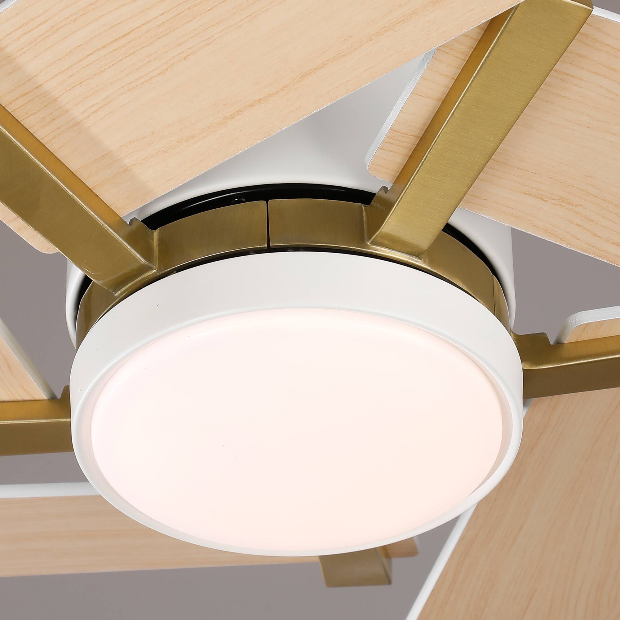 Alt View 10. Parrot Uncle - 60" Modern White LED Ceiling Fan with Remote Control and Reversible Blades - White.