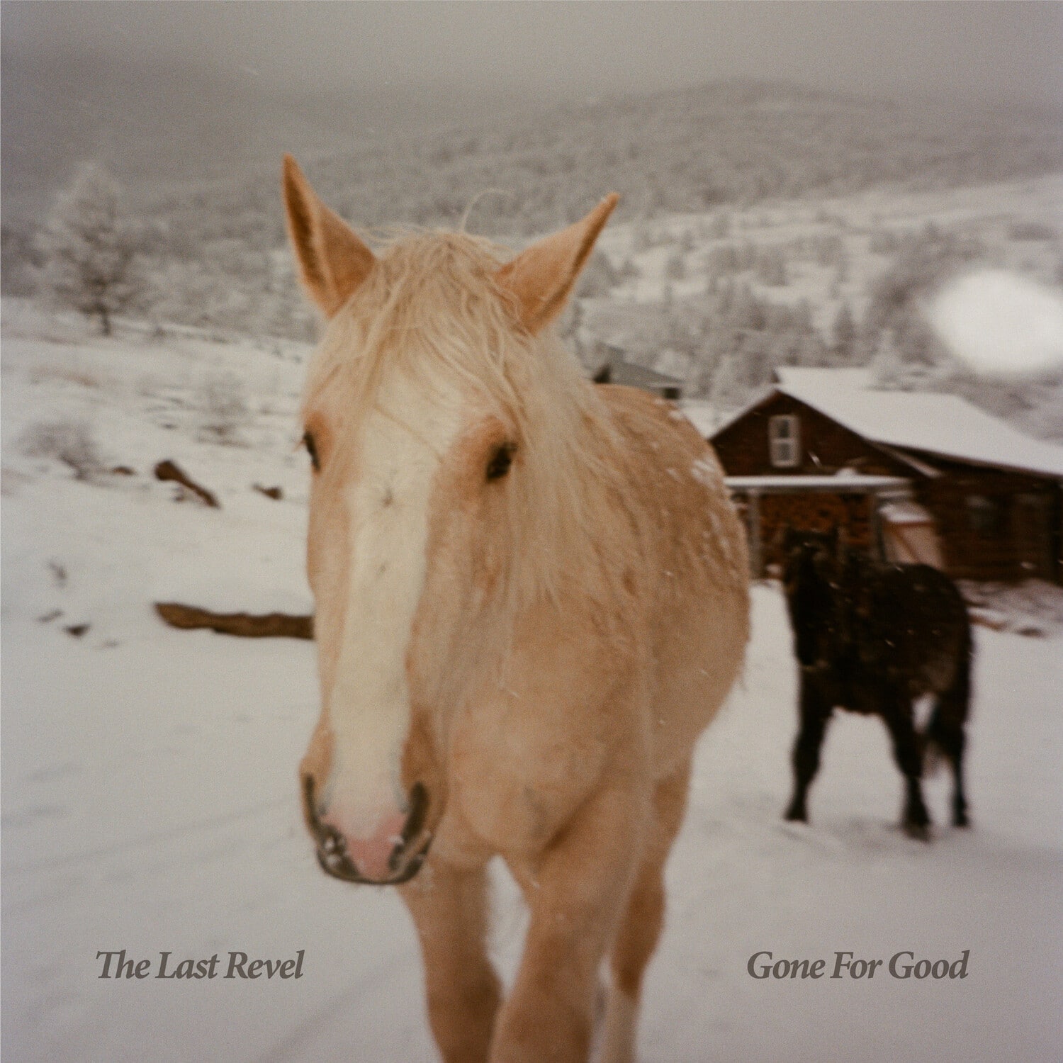 Last Revel - Gone For Good   - COMPACT DISCS [CD] price history on PriceWatchPro