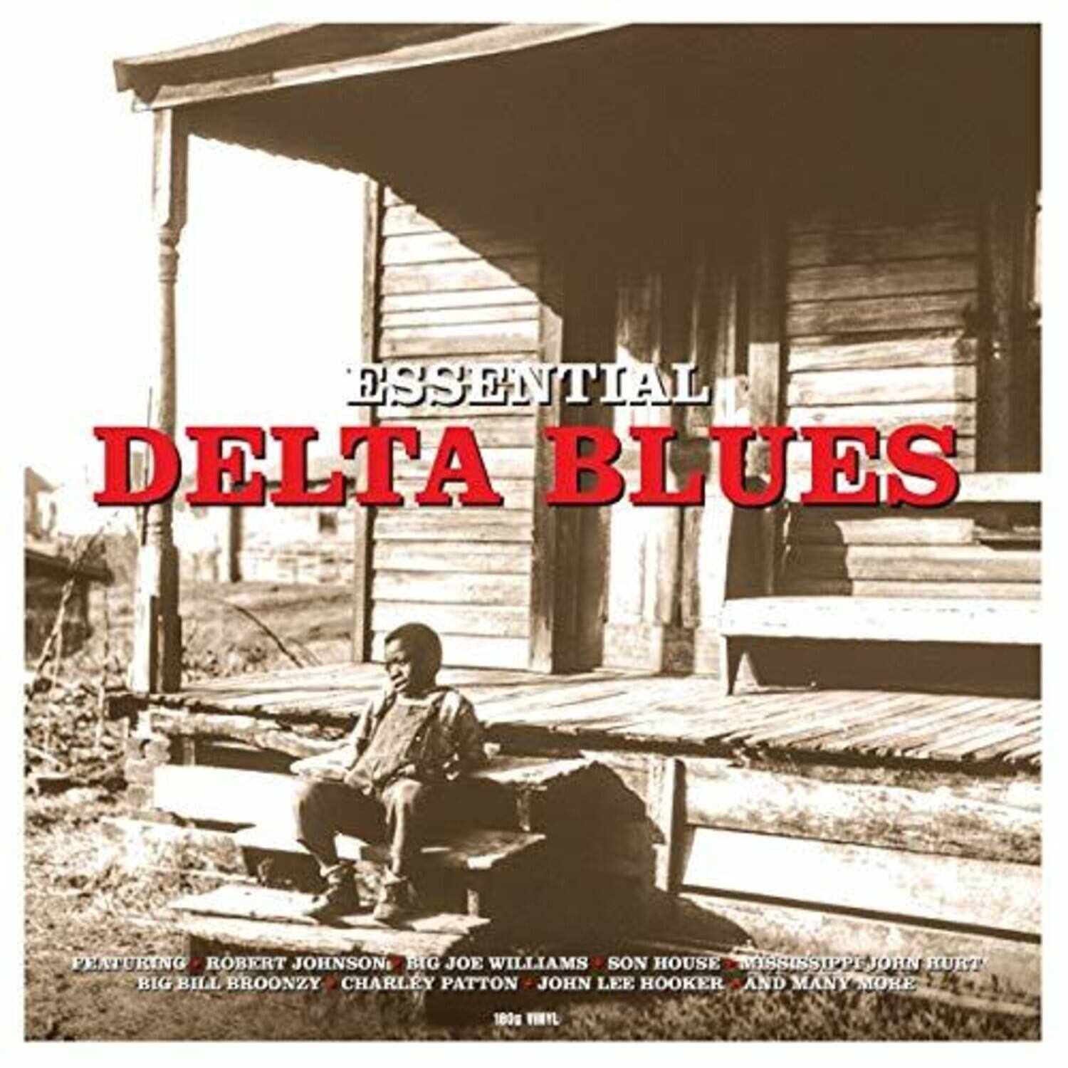 ESSENTIAL DELTA BLUES

FEATURING ROBERT JOHNSON, BIG JOE WILLIAMS, SON HOUSE, MISSISSIPPI JOHN HURT, BIG BILL BROONZY, CHARLEY PATTON, JOHN LEE HOOKER AND MANY MORE

180g VINYL
