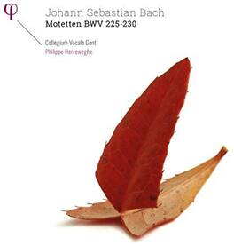 Bach,J.S. / Collegium Vocale Gent / Herreweghe - Johann Sebastian Bach: Motetten BWV 225-230 - VINYL LP