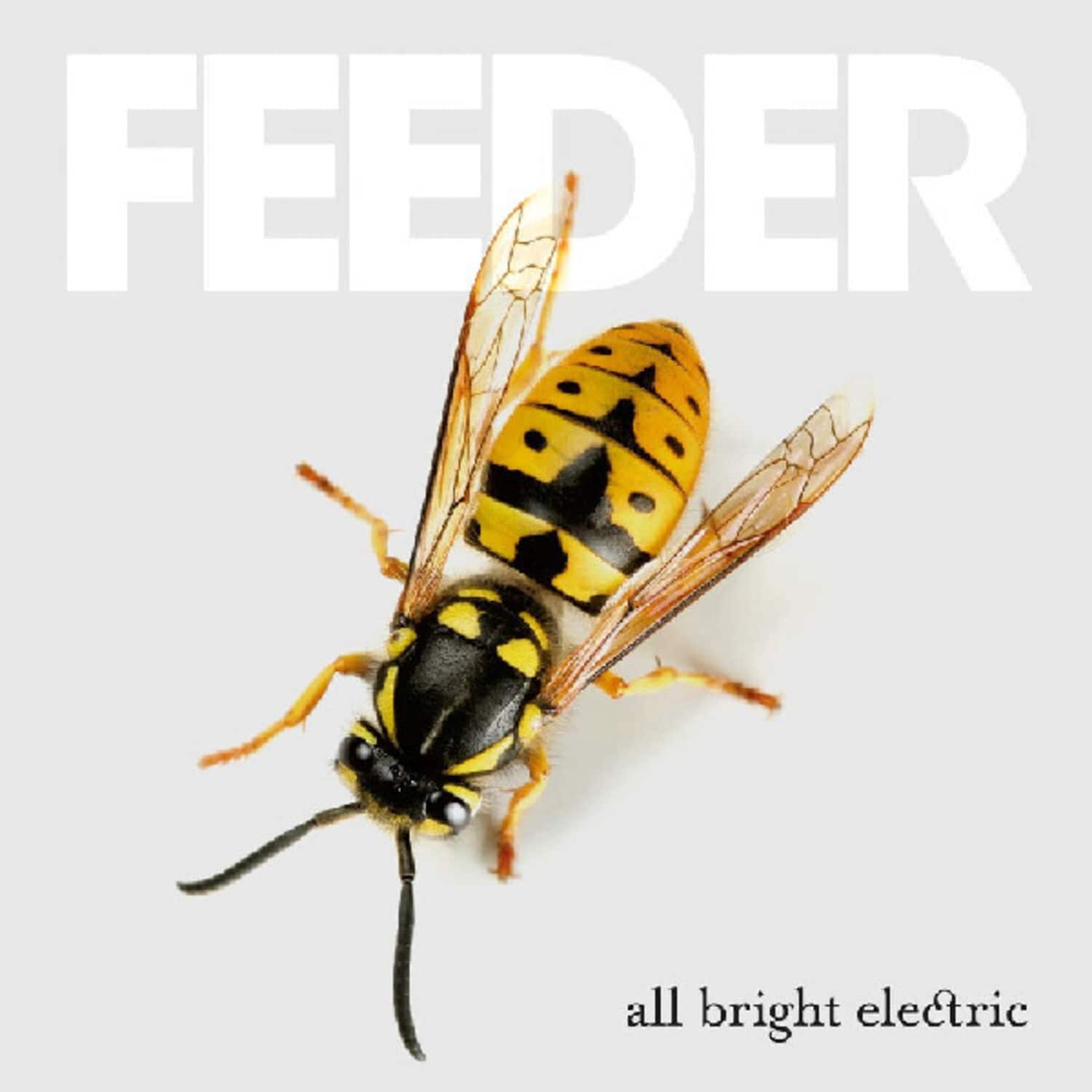 Feeder - All Bright Electric   - VINYL LP price history on PriceWatchPro