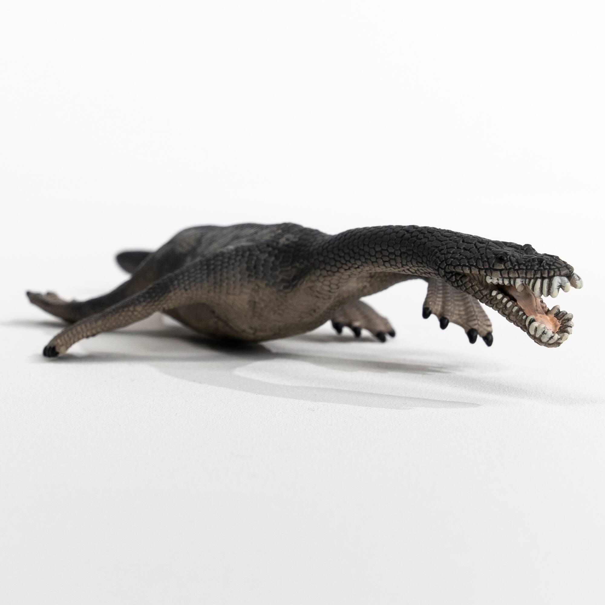 Alt View 1. Schleich - Dinosaurs: Nothosaurus.